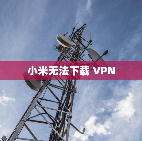 小米无法下载 VPN 小米无法下载 VPN