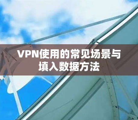 VPN使用的常见场景与填入数据方法